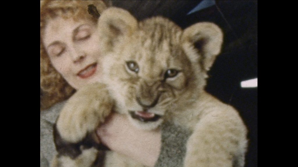 Kadras is filmo VISKAS DEL SOU 2