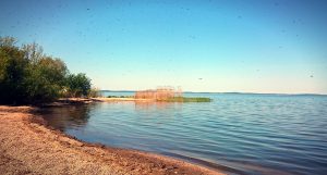 DSC_0905_20160507200258858