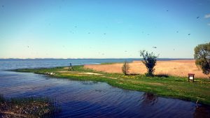 DSC_0959_20160507193728029