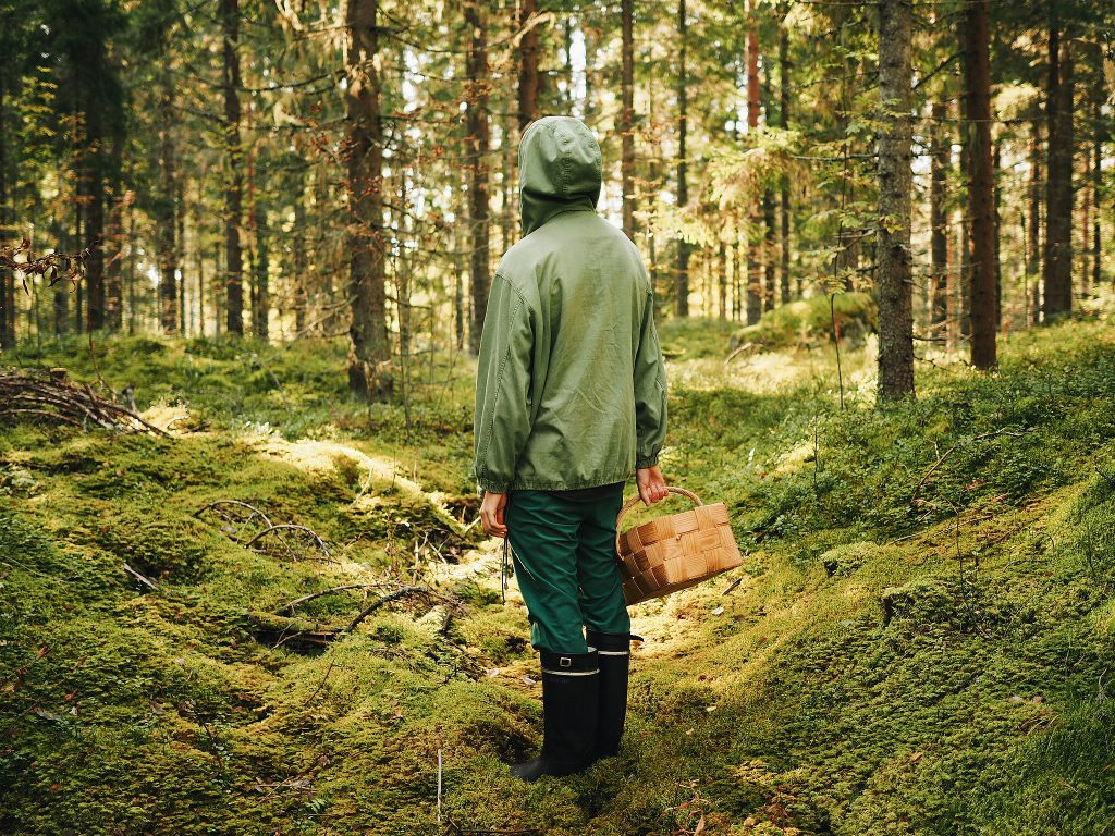 Olli Aarni / Organizatorių nuotr. / Jauna Muzika 2018