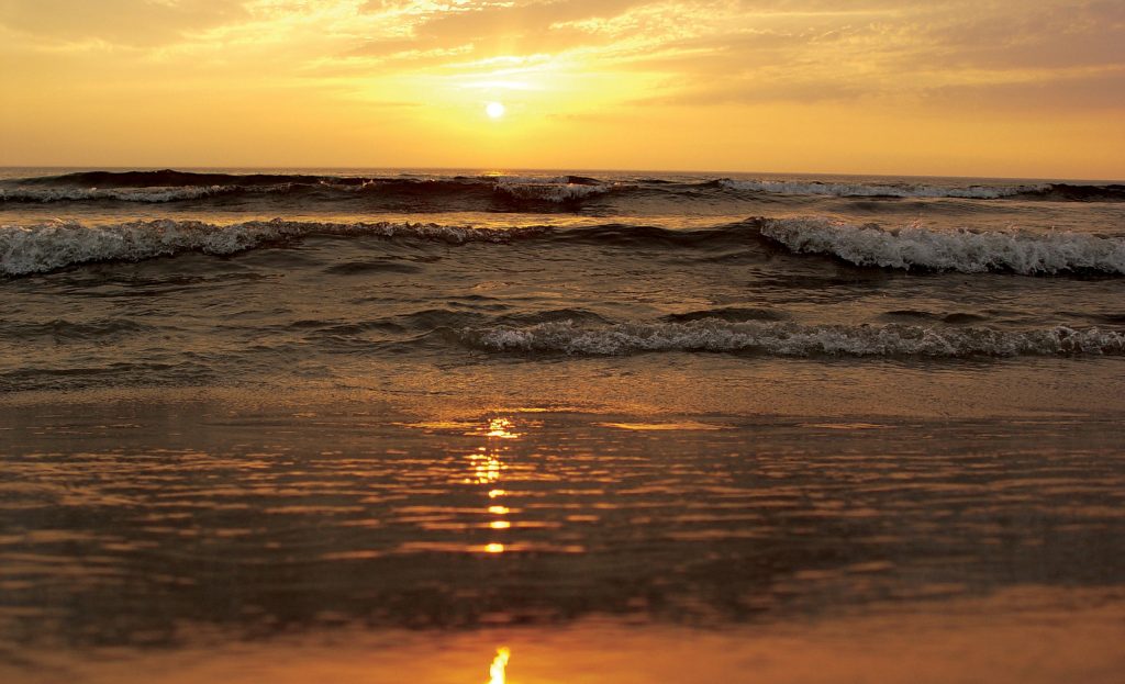 Vyno uoga / Real is Beautiful nuotr. / Ką veikti Klaipėdoje birželį?